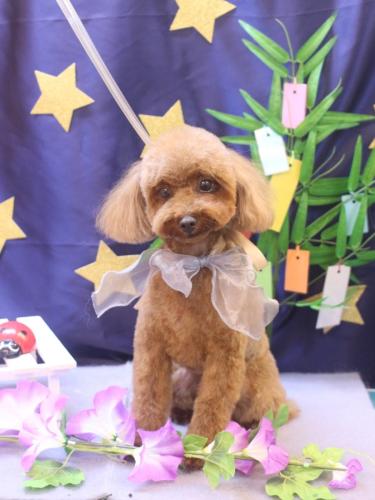 20230708ルアナちゃん